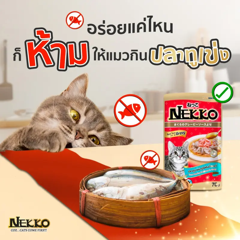 Nekko เน็กโกะ… - ภาพที่ 4