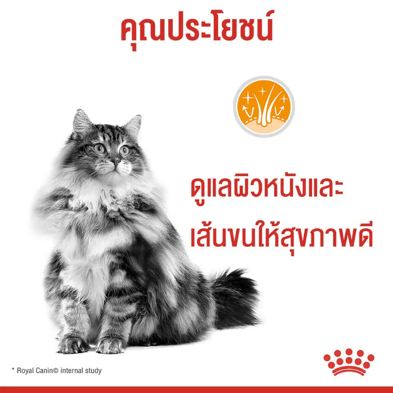 Intense Beauty Pouch Gravy … - ภาพที่ 5