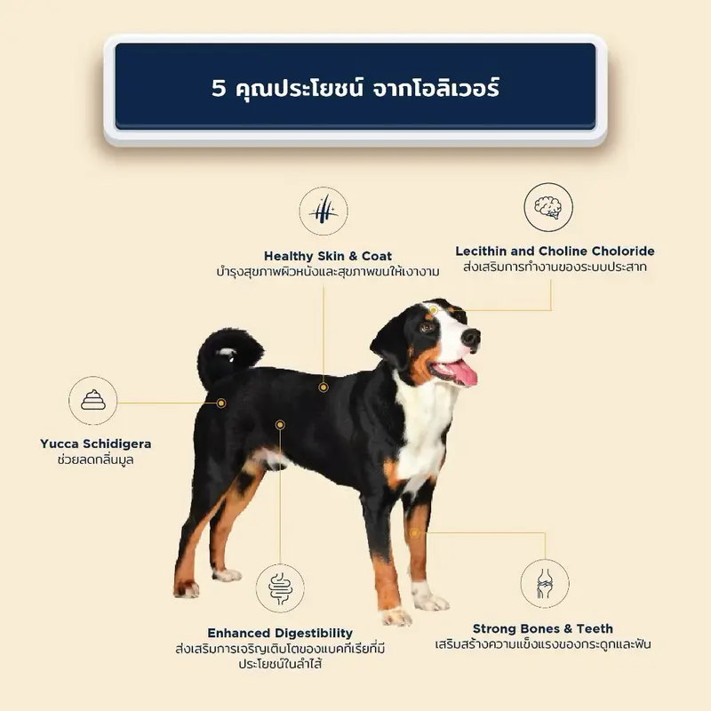 Oliver Dog Food อาหารสุนัข ถุง 1 กิโลกรัม - ภาพที่ 5