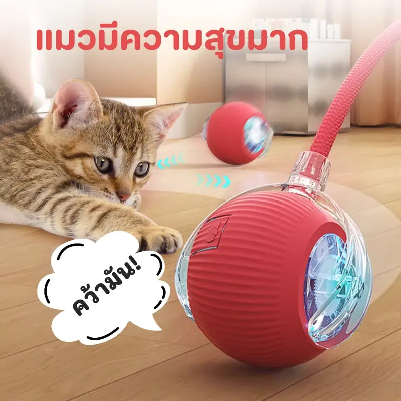 ลูกบอลแมว ของเล่นแมว ลูกบอลสุนัข หมุนได้360องศา… ลูกบอลแมว ของเล่นแมว ลูกบอลสุนัข หมุนได้360องศา…