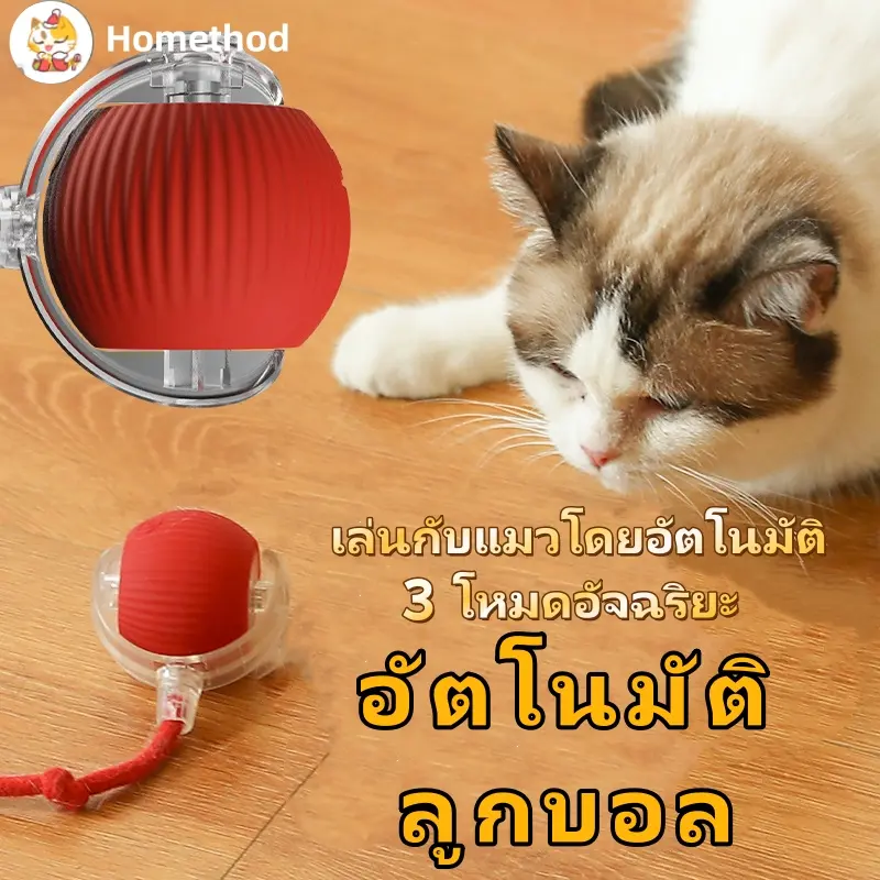 ลูกบอลสัตว์เลี้ยง ของเล่นแมวอัจฉริยะ… ลูกบอลสัตว์เลี้ยง ของเล่นแมวอัจฉริยะ…