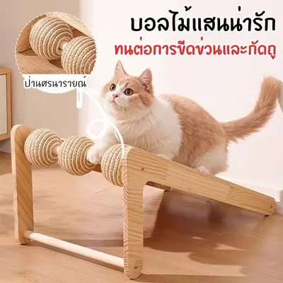 ที่ลับเล็บแมว ของเล่นแมว ฝนเล็บแมว ที่ฝนเล็บแมวลูกบอล… - ภาพที่ 3
