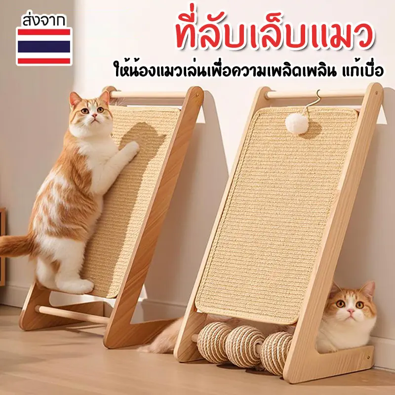 ที่ลับเล็บแมว ของเล่นแมว ฝนเล็บแมว ที่ฝนเล็บแมวลูกบอล… ที่ลับเล็บแมว ของเล่นแมว ฝนเล็บแมว ที่ฝนเล็บแมวลูกบอล…