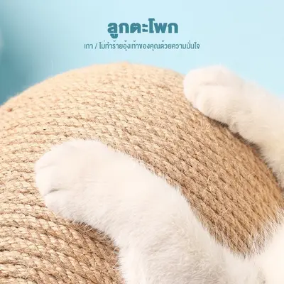 บอลลับเล็บ บอลลับเล็บแมว ที่ลับเล็บแมว ที่ฝนเล็บแมว… - ภาพที่ 5