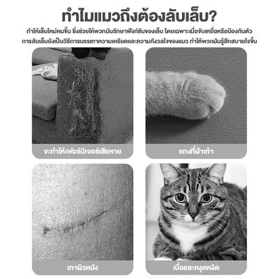 พร้อมจัดส่งลับเล็บแมว ของเล่นแมว ขนาดใหญ่พิเศษ… - ภาพที่ 3