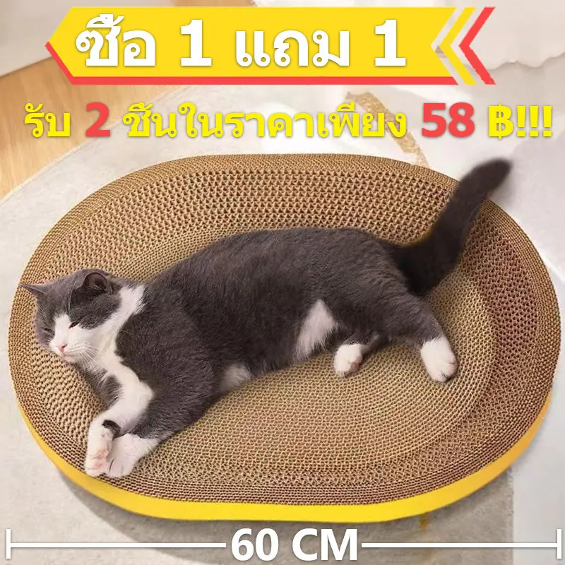 ที่ลับเล็บแมว รูปอ่าง ที่ฝนเล็บแมว ของเล่นแมว… ที่ลับเล็บแมว รูปอ่าง ที่ฝนเล็บแมว ของเล่นแมว…