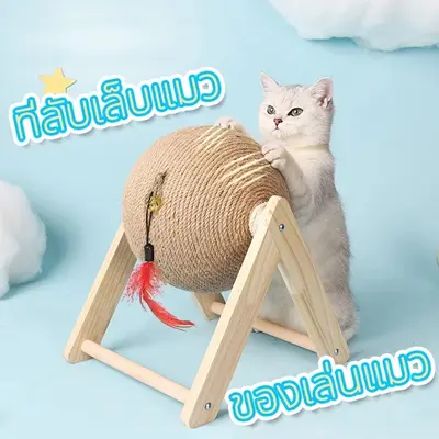 ฝนเล็บแมว ที่ปีนแมว ไม้ตกแมว… - ภาพที่ 4