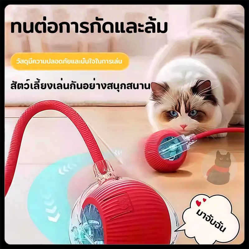 พร้อมส่ง🔥ลูกบอลแมว บอลแมวอัตโนมัติ ชาร์ตแบตได้… พร้อมส่ง🔥ลูกบอลแมว บอลแมวอัตโนมัติ ชาร์ตแบตได้…