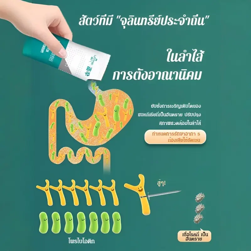 โปรไบโอติกสุนัขแมว อาหารเสริมสุขภาพลำไส้ ลดการติดเชื้อ… - ภาพที่ 5