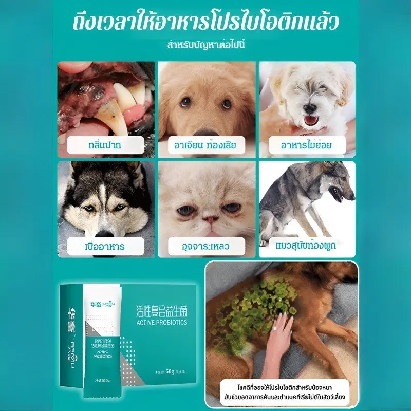 โปรไบโอติกสุนัขแมว อาหารเสริมสุขภาพลำไส้ ลดการติดเชื้อ… - ภาพที่ 6