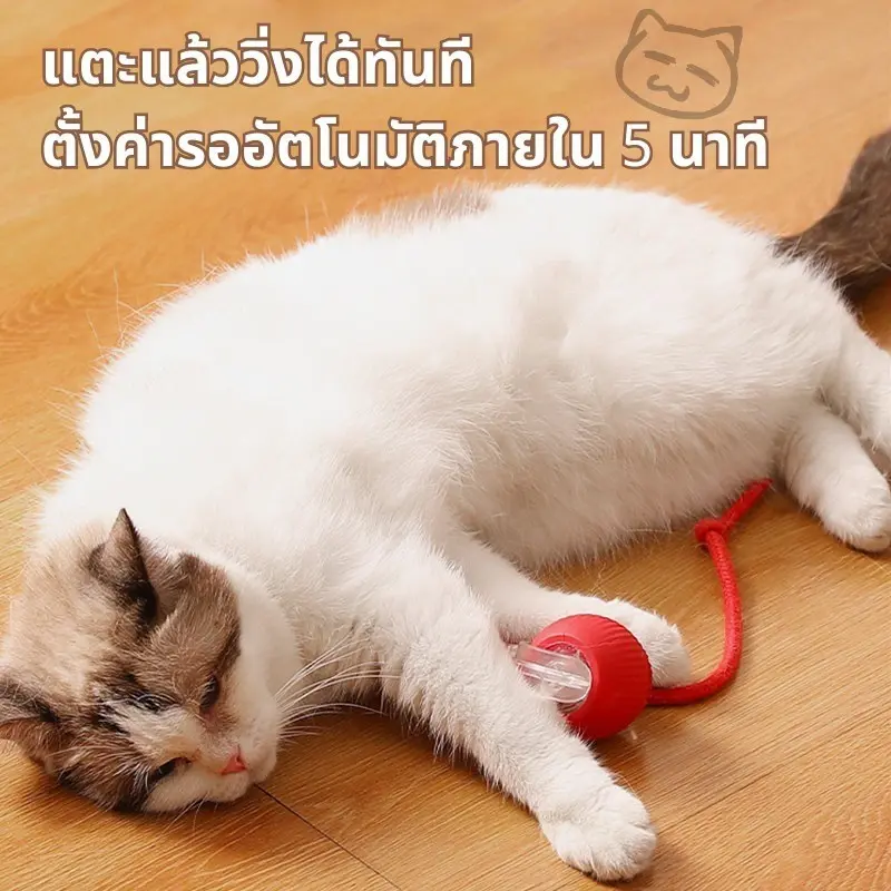 ลูกบอลแมว ลูกบอลแมวอัตโนมัติ แบบชาร์จไฟได้ ของเล่นแมว…