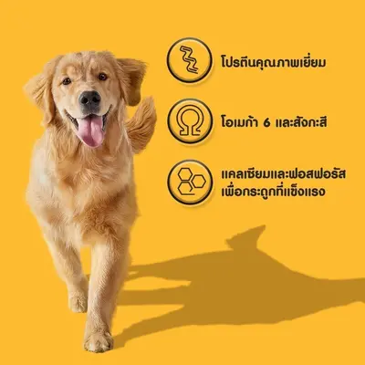 PEDIGREE เพดดิกรี อาหารเม็ดสุนัข สุนัขโต… - ภาพที่ 6