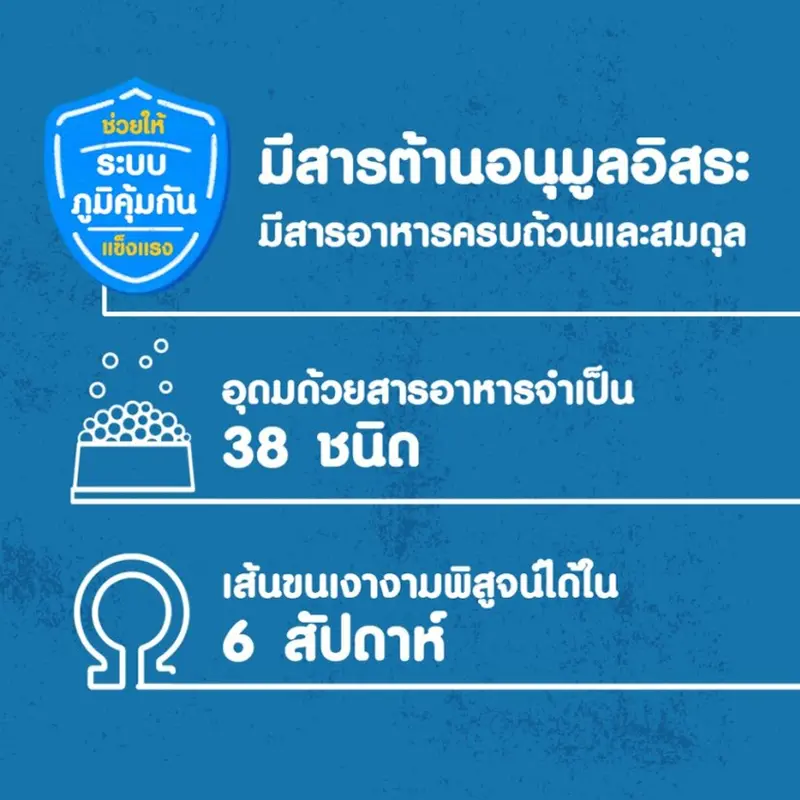 Pedigree Dog Foog Adult เพดดิกรี อาหารสุนัขแบบเม็ด… - ภาพที่ 6