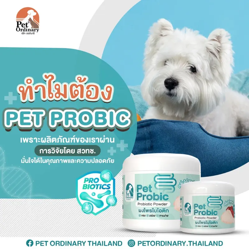 Pet Ordinary Pet Probic ผงโพรไบโอติกสุนัข… - ภาพที่ 3
