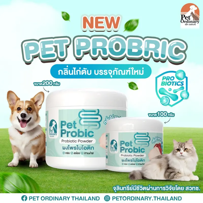 Pet Ordinary Pet Probic ผงโพรไบโอติกสุนัข… - ภาพที่ 4