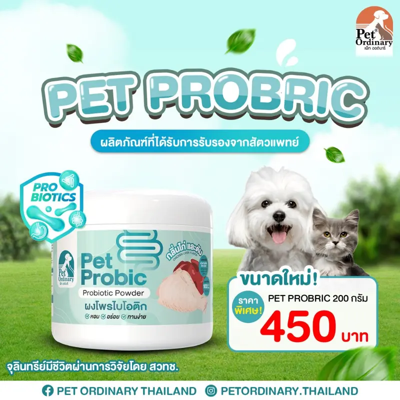 Pet Ordinary Pet Probic ผงโพรไบโอติกสุนัข… - ภาพที่ 6