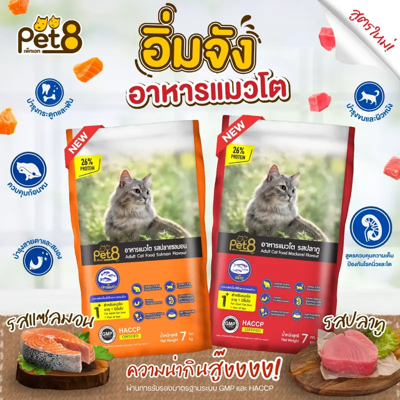Pet8 อาหารแมวชนิดเม็ด สูตรแกะ แซลมอน ทูน่าและข้าว… - ภาพที่ 3