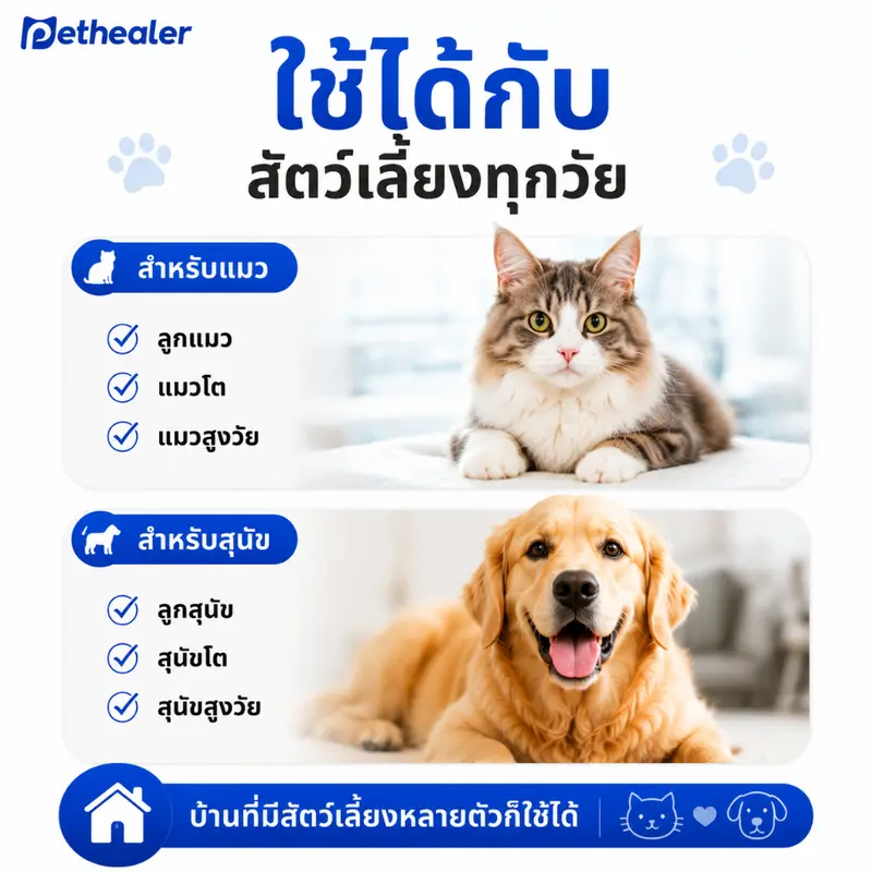 PETHEALER โปรไบโอติกสัตว์เลี้ยง 20 ซอง ดูแลลำไส้… - ภาพที่ 6