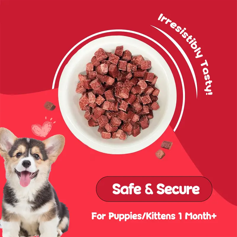 PETLOVRESขนมสุนัขขนมแมว 500 กรัม เนื้อวัวเม็ด… - ภาพที่ 6