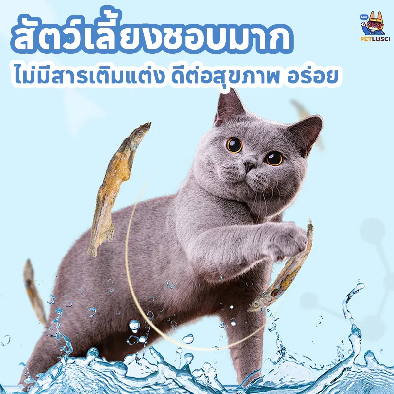PETLUSCI ขนมแมว ปลาแมว 50กรัม โปรตีนสูง ไม่เค็ม… - ภาพที่ 3