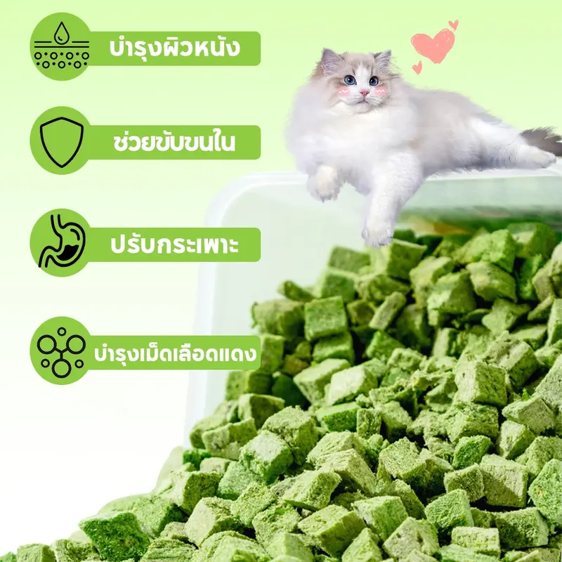 PETLUSCI® หญ้าแมวฟรีซดราย ขนมแมว 630กรัม ผสมอกไก่แท้… PETLUSCI® หญ้าแมวฟรีซดราย ขนมแมว 630กรัม ผสมอกไก่แท้…