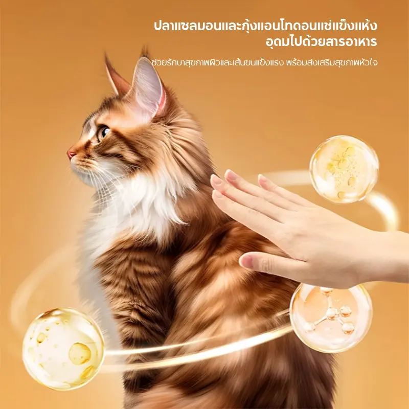 PETLUSCI ขนมหมาแมวฟรีซดราย หลายรสชาติ เสริมโปรตีนสูง… - ภาพที่ 4