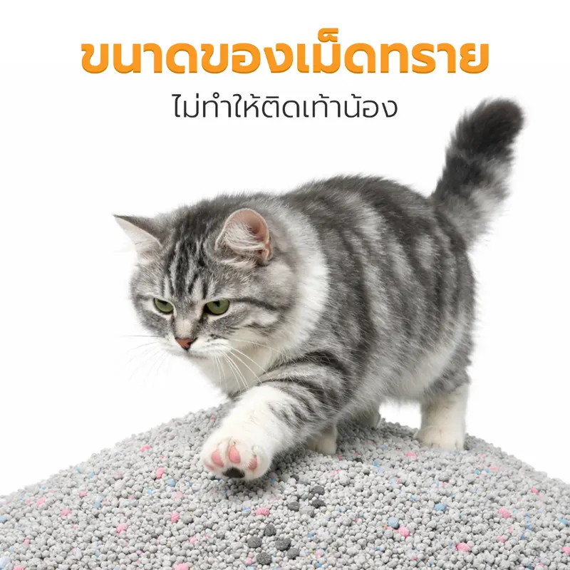 Petus 3ถุง ทรายแมว 10ลิตร ทรายแมว cat litter… - ภาพที่ 6