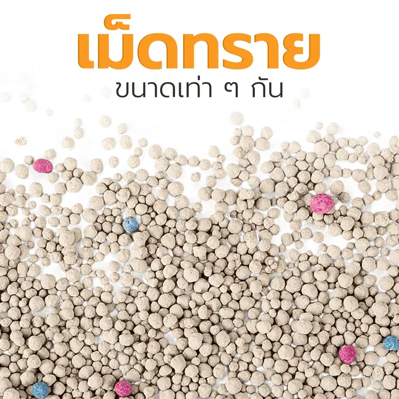 Petus Litter ทรายแมวเบนโทไนท์ 10 ลิตร 3 ถุง Cat Litter… - ภาพที่ 4