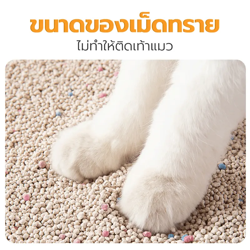 Petus Litter ทรายแมวเบนโทไนท์ 10 ลิตร 3 ถุง Cat Litter… - ภาพที่ 5