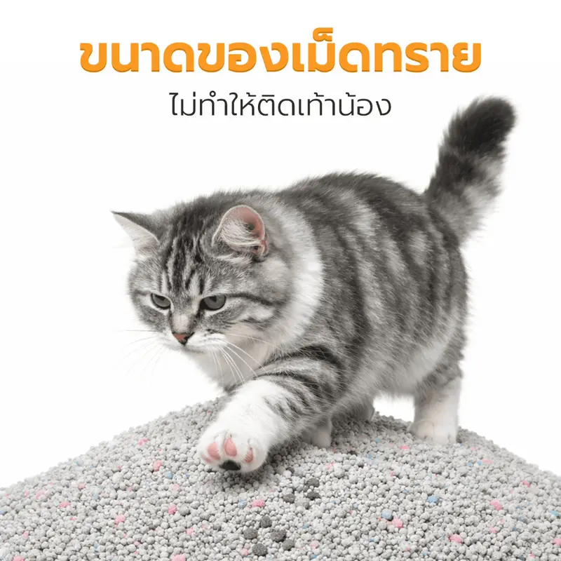 Petus Litter ทรายแมว 10 ลิตร ทรายแมวเบนโทไนท์… - ภาพที่ 4