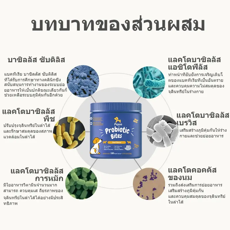 Popoo โพรไบโอติกสุนัข 120 ชิ้น - ภาพที่ 4
