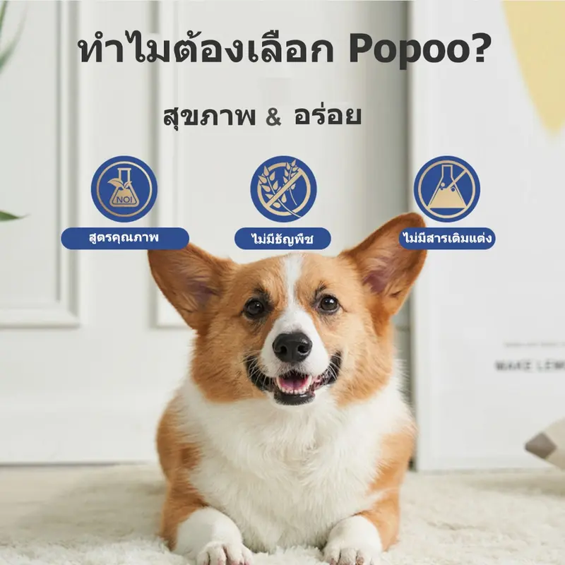 Popoo โพรไบโอติกสุนัข 120 ชิ้น - ภาพที่ 6