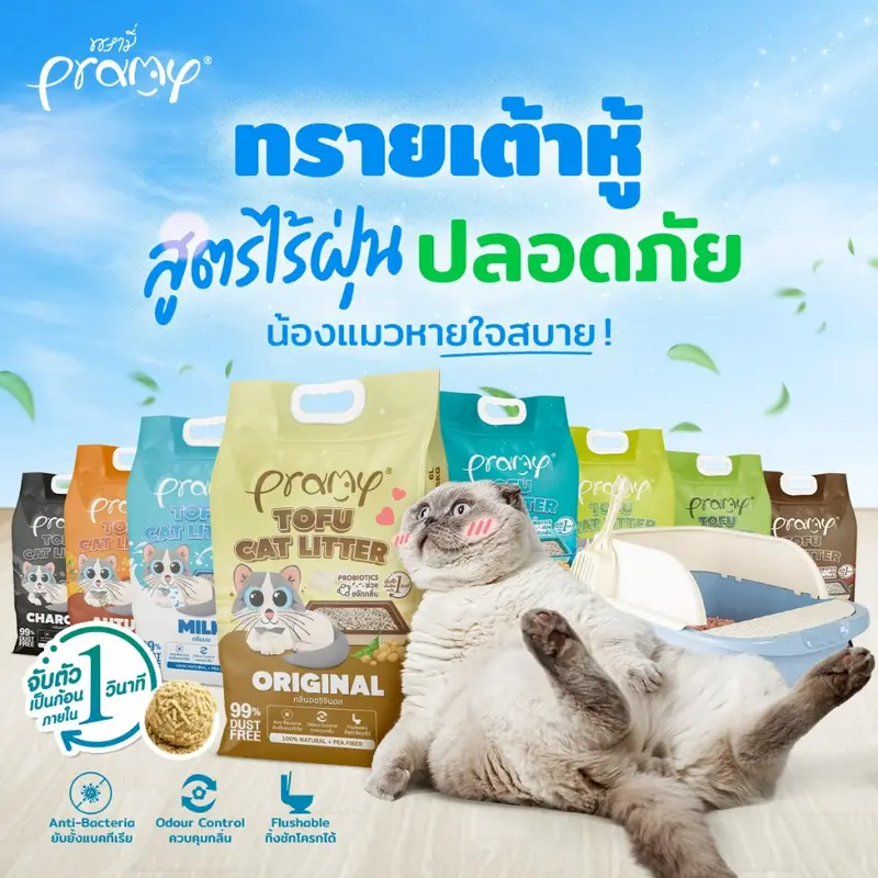 Pramy ทรายแมวเต้าหู้ สูตรไร้ฝุ่น จับตัวเป็นก้อนเร็ว… - ภาพที่ 3