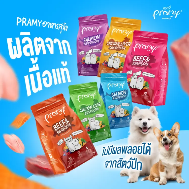 Pramy อาหารสุนัข พรามี่ สุนัขโต… - ภาพที่ 3