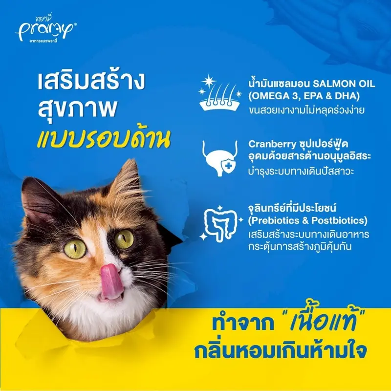 Pramy Carnivore อาหารเม็ดแมวพรามี่ สูตรเน้นเนื้อแท้… - ภาพที่ 6