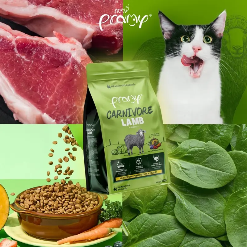Pramy Carnivore พรามี่ คาร์นิวอร์ อาหารเม็ดแมว… - ภาพที่ 6
