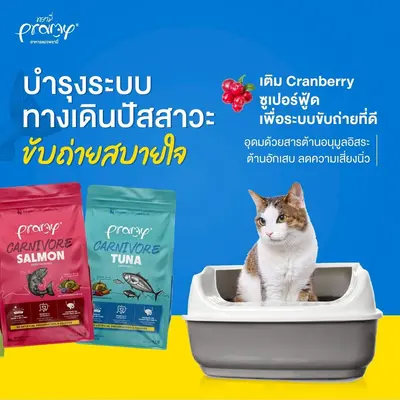 Pramy Carnivore… - ภาพที่ 5