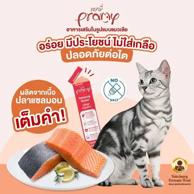 ขนมแมวเลียพรามี่ Pramy… - ภาพที่ 4