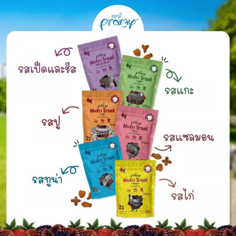 Pramy Nutri-Treat พรามี่ ขนมขัดฟันแมวหลากหลายรสชาติ… - ภาพที่ 6