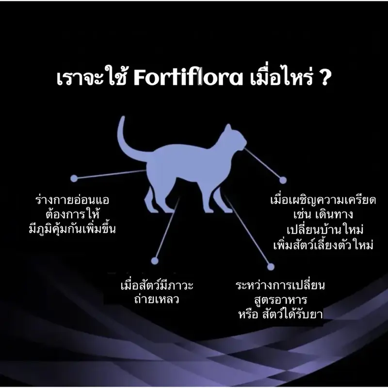 Proplan Fortiflora อาหารเสริมโพรไบโอติกสำหรับสุนัขและแ… - ภาพที่ 6