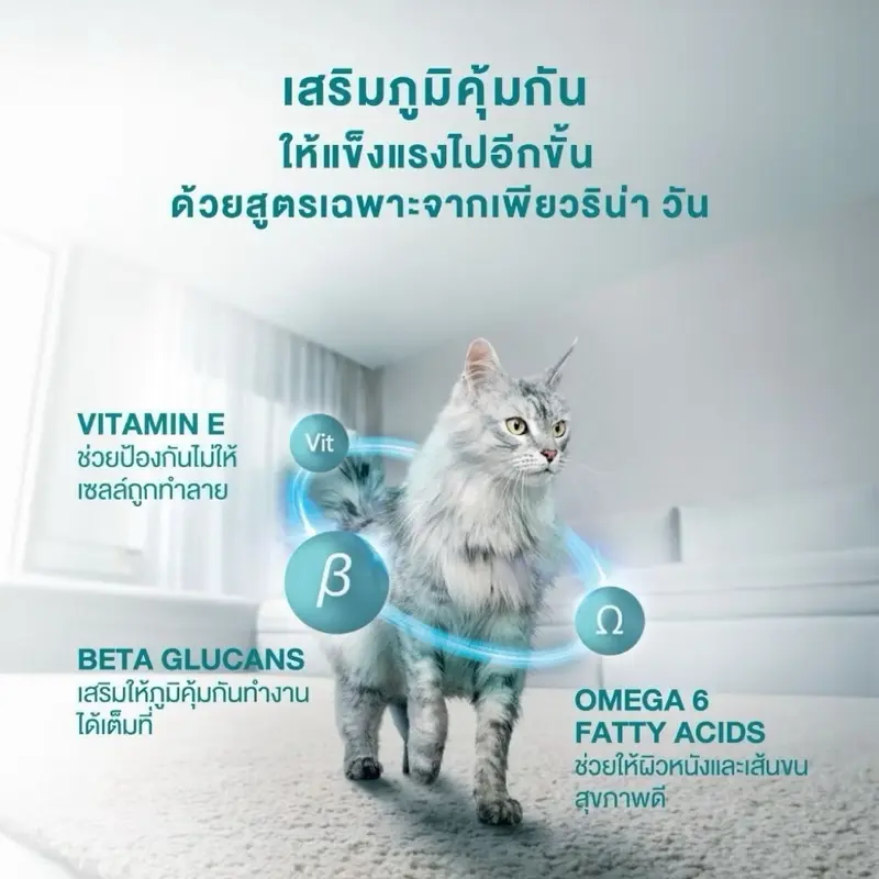 Purina One อาหารแมว เพียวริน่า วัน 1.2 - 2.7 กิโล… - ภาพที่ 3