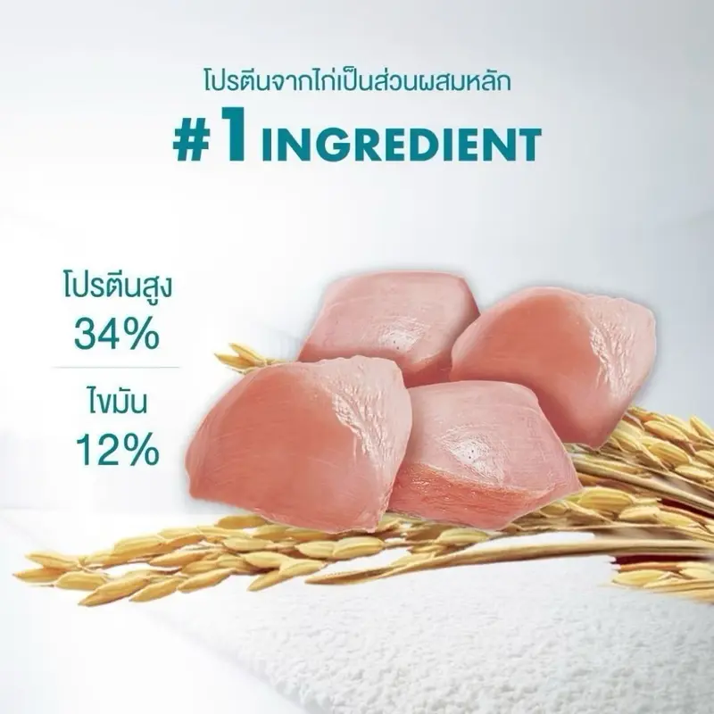 Purina One อาหารแมว เพียวริน่า วัน 1.2 - 2.7 กิโล… - ภาพที่ 5