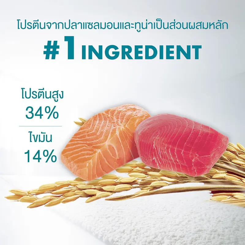Purina One อาหารแมว 1.2 กก - ภาพที่ 5