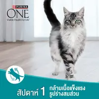 Purina ONE เพียวริน่า วัน อาหารแมว ขนาด 1.2 kg - ภาพที่ 6