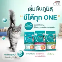 Purina ONE อาหารแมวแบบเม็ด ปริมาณ 6.6Kg - ภาพที่ 6