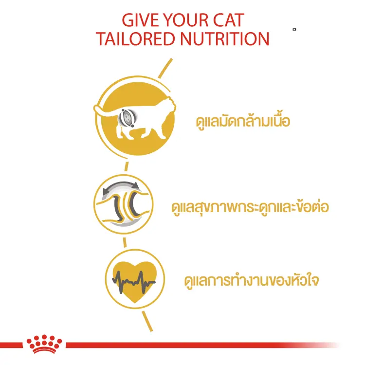 Royal Canin British Shorthair Adult อาหารแมว… - ภาพที่ 4