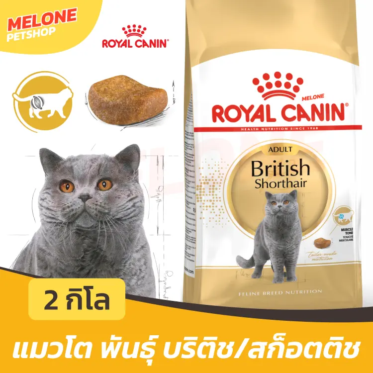 Royal Canin British Shorthair Adult อาหารแมว…