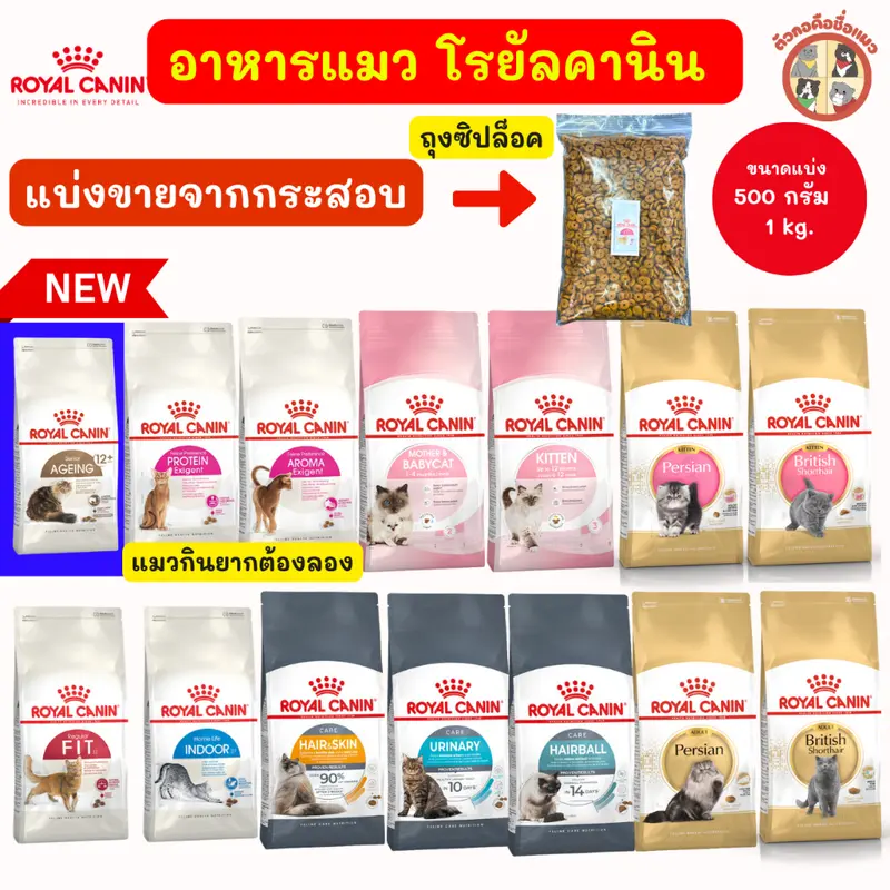Royal Canin (โรยัล คานิน… - ภาพที่ 4