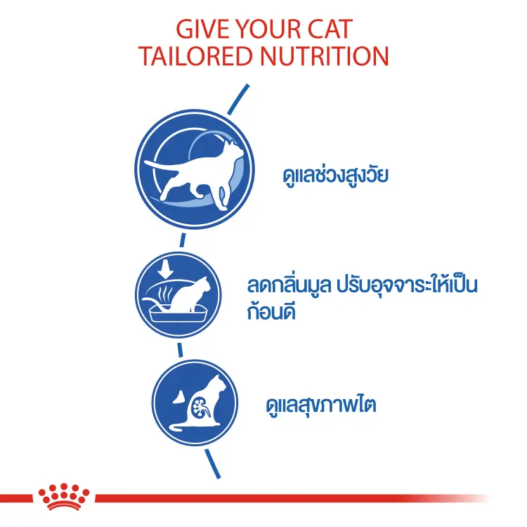 Royal Canin Indoor 7+ รอยัลคานิน อาหารแมว… - ภาพที่ 4
