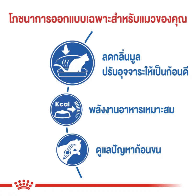 Royal Canin Indoor Adult อาหารแมว รอยัลคานิน อินดอร์… - ภาพที่ 4